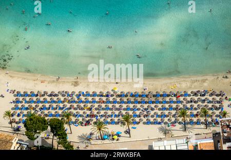 Vista aerea, spiaggia con lettini e ombrelloni, spiaggia di Palmira a Passeig Maritim de Palmira, Playa Palmira, Peguera, Calvia, Isole Baleari, Maj Foto Stock