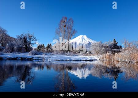 Fuji si riflette in uno stagno nel villaggio di Oshino con cielo blu Foto Stock