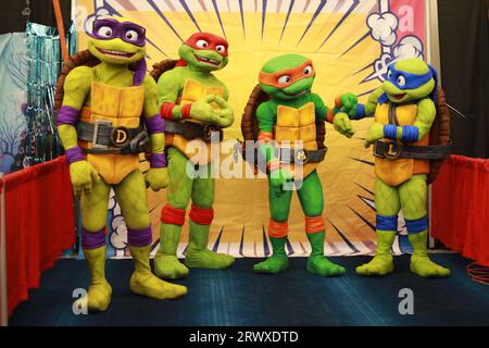 I cosplayer vestiti da Ninja Turtles partecipano al fan Expo Canada al Metro Toronto Convention Centre di Toronto, Ontario, Canada, il 25,2023 agosto Foto Stock