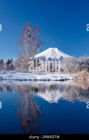 Fuji reflected in a pond in Oshino Village with blue sky Stock Photo