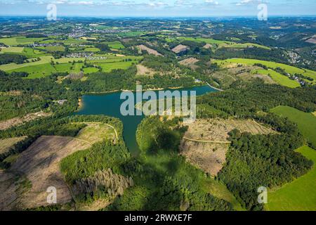 Vista aerea, diga di Glörtal e muro di diga, Haus Glörtal, DJH Jugendherberge Glörsee, area forestale con danni forestali e taglio netto, Loh, Breckerfeld, R. Foto Stock