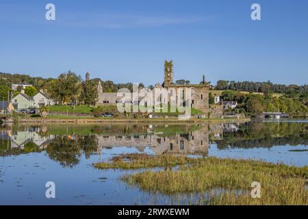 Riflessioni autunnali, Timoleague, Co. Cork, settembre 2023 Foto Stock