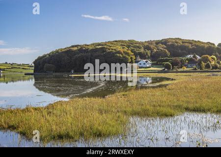 Riflessioni autunnali, Timoleague, Co. Cork, settembre 2023 Foto Stock