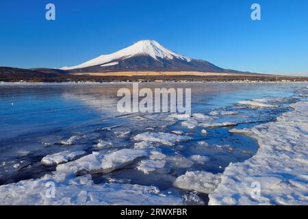 Yamanashi Mt. Fuji e il lago Yamanakako sono congelati Foto Stock