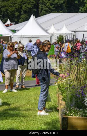 I visitatori in piedi e in cerca, guardano la partecipazione al concorso per i letti rialzati di orticoltura - RHS Tatton Park Flower Show 2023 Showground, Cheshire, Inghilterra, Regno Unito. Foto Stock