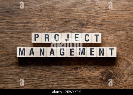 Gestione dei progetti - concetto di parole su elementi di base, testo, lettere Foto Stock