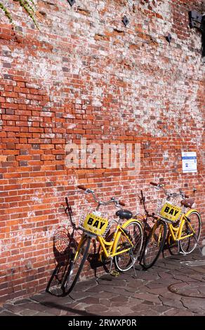 Kanemori Red Brick Warehouse, un'attrazione turistica di Hakodate Foto Stock