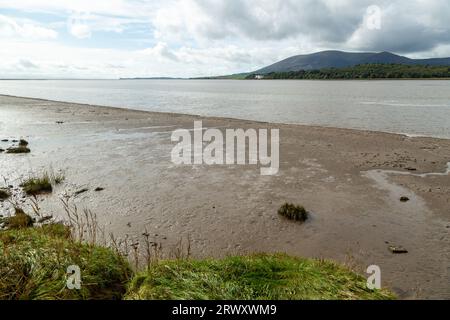 Le distese di fango lungo il fiume Nith vicino al castello di Caerlaverock, Dumfries e Galloway, Scozia Foto Stock