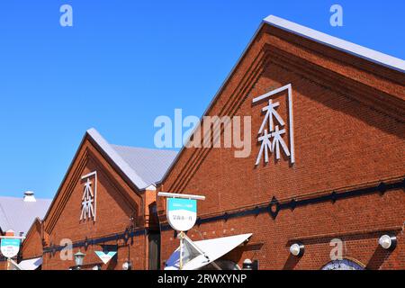 Kanemori Red Brick Warehouse, Hokkaido Foto Stock