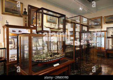 Whitby Museum, un museo indipendente vittoriano ricco di affascinanti collezioni di fossili locali, storia naturale, modellini di navi e molto altro, Regno Unito Foto Stock