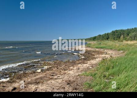 Costa sull'isola estone di Saaremaa. Vacanze estive nel baltico. Foto Stock