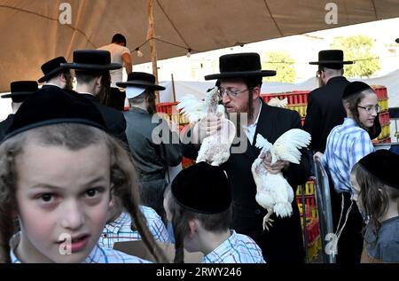 Gerusalemme, Israele. 21 settembre 2023. Un ebreo ultra-ortodosso porta due polli per l'antico rituale Kapparot a Mea Shearim a Gerusalemme, giovedì 21 settembre 2023. Il Kapparot è preformato prima dello Yom Kippur, il giorno dell'Espiazione, il giorno più sacro del calendario ebraico, e trasferisce simbolicamente i peccati dell'anno passato al pollo. Foto di Debbie Hill/ Credit: UPI/Alamy Live News Foto Stock