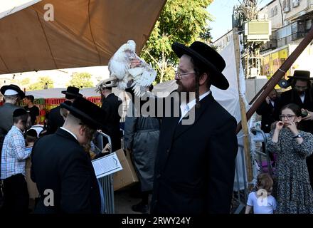 Gerusalemme, Israele. 21 settembre 2023. Un ebreo ultra-ortodosso alza un pollo sulla sua testa durante l'antico rituale Kapparot a Mea Shearim a Gerusalemme, giovedì 21 settembre 2023. Il Kapparot è preformato prima dello Yom Kippur, il giorno dell'Espiazione, il giorno più sacro del calendario ebraico, e trasferisce simbolicamente i peccati dell'anno passato al pollo. Foto di Debbie Hill/ Credit: UPI/Alamy Live News Foto Stock