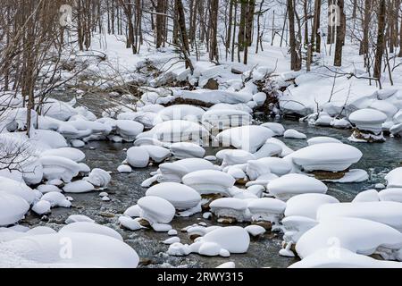 Ishikari gawa a metà inverno Foto Stock