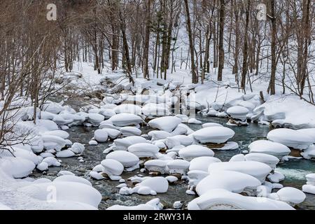 Ishikari gawa a metà inverno Foto Stock