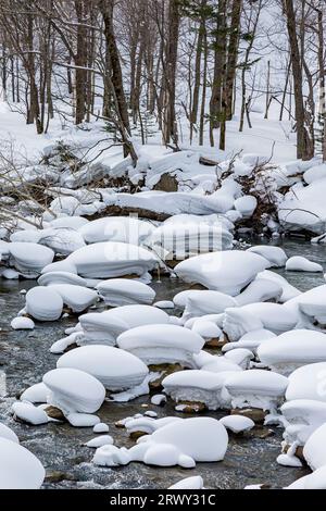 Ishikari gawa a metà inverno Foto Stock