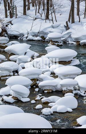 Ishikari gawa a metà inverno Foto Stock