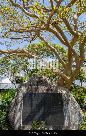 Monumento in pietra della canzone di Shuzenji in piedi nel parco Shuzenji Onsen Tokko no Yu Foto Stock