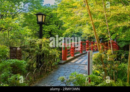 Shuzenji Onsen Kaede-bashi Ponte che brilla nel verde fresco della primavera (paesaggio da sud a nord) Foto Stock