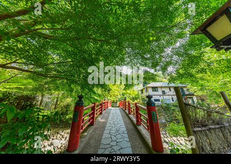 Shuzenji Onsen Kaede-bashi Ponte che brilla nel verde fresco della primavera (paesaggio da nord a sud) Foto Stock