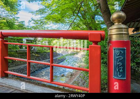 Shuzenji Onsen il ponte Katsura-bashi nel verde fresco della primavera Foto Stock