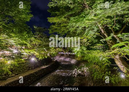 Ponte d'acero e sentiero di boschetto di bambù visto dal ponte Katsura-bashi a Shuzenji Onsen Foto Stock