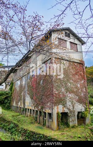 Sado Mine Takato Shokosha covered with vines Stock Photo