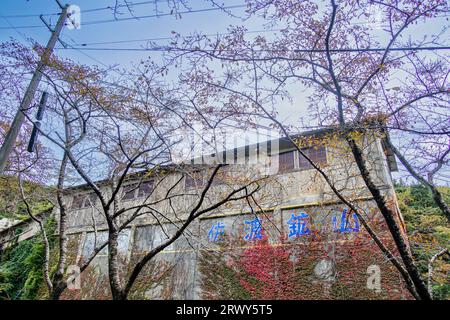 Sado Mine Takato Shokosha ricoperta di viti Foto Stock