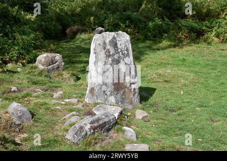 La più grande pietra in piedi nel Froggatt Edge Stone Circle (alias Stoke Flat Stone Circle) nel Derbyshire Peak District. Risale all'età del bronzo Foto Stock