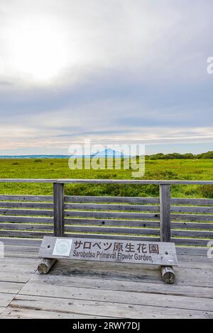 Il Giardino dei Fiori Primeval di Sarobetsu e il Rishiri Fuji dall'altra parte del fiume Foto Stock