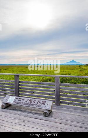 Il Giardino dei Fiori Primeval di Sarobetsu e il Rishiri Fuji dall'altra parte del fiume Foto Stock