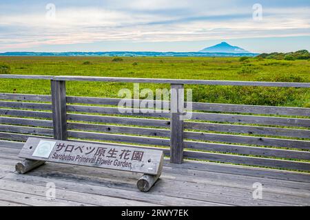 Il Giardino dei Fiori Primeval di Sarobetsu e il Rishiri Fuji dall'altra parte del fiume Foto Stock