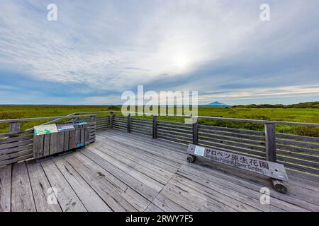 Sarobetsu Primeval Flower Garden and Rishiri Fuji on the other side of the river Stock Photo