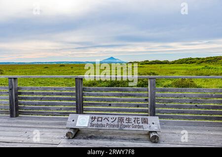 Sarobetsu Primeval Flower Garden and Rishiri Fuji on the other side of the river Stock Photo