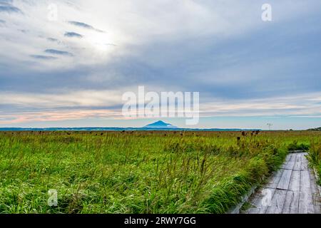 Rishiri Fuji sull'altro lato del fiume dal sentiero in legno nel Giardino dei Fiori Primeval di Sarobetsu Foto Stock