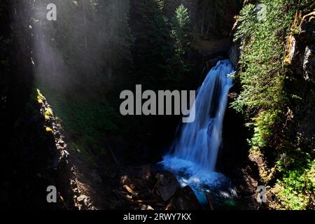 Lady Falls nel Strathcona Provincial Park sull'isola di Vancouver, British Columbia, Canada. Foto Stock