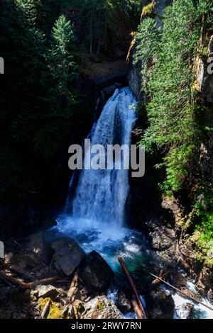 Lady Falls nel Strathcona Provincial Park sull'isola di Vancouver, British Columbia, Canada. Foto Stock