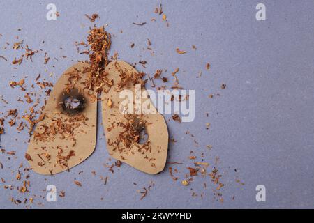 Ritaglio di carta dei polmoni umani con fori per sigaretta e tabacco su sfondo blu, vista dall'alto con spazio per il testo. Divieto di fumo Foto Stock