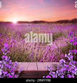 Ponte in legno tra un fiorente campo di lavanda al tramonto. Spazio per il testo Foto Stock