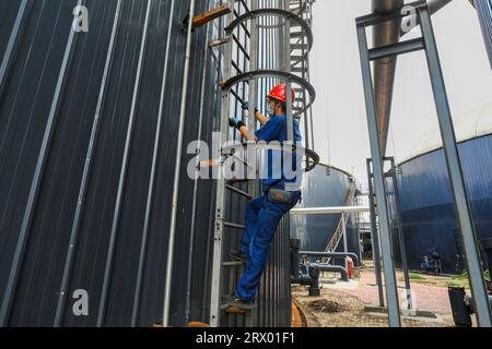 Contea di Luannan, Cina - 29 luglio 2022: I lavoratori lavorano sodo in un'azienda di produzione di energia biogas. Foto Stock