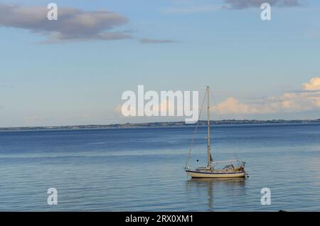 Una vista del Nivå Bugt dal Louisiana Museum of Modern Art di Humlebaek, Danimarca. Foto Stock