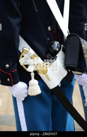 Un primo piano della spada e del coltello portati da una guardia reale danese al castello di Amalienborg a Copenaghen, in Danimarca. Foto Stock