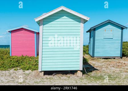 Colorate capanne in legno battute dal vento nelle dune di sabbia sulla spiaggia di Skanör med Falsterbo sul Öresund al sole del mattino, Skåne, Svezia Foto Stock