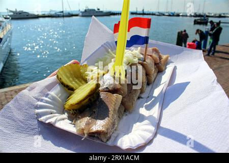 Volendam, Paesi Bassi. Un'aringa olandese pronta a mangiare. Foto Stock