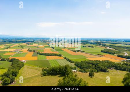 Veduta aerea della piana di Tokachi, Hokkaido, Giappone Foto Stock