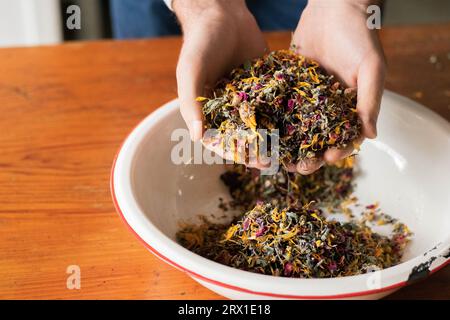 Le mani di una donna cullano una ciotola di foglie di tè assortite ed erbe aromatiche. Foto Stock