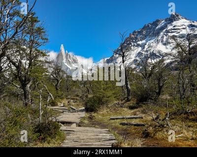 Sentiero escursionistico con tavole di legno sulla strada per Cerro Torre, il Parco Nazionale Los Glaciares, Patagonia, Argentina Foto Stock