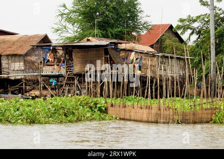 Tradizionali case di legno dei pescatori su palafitte, lago Tonle SAP in Cambogia, villaggio di Kompong Khleang Foto Stock