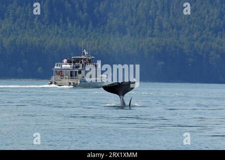 Fluke di una megattera subacquea di fronte alla barca turistica, kayak sullo sfondo, Inside Passage, Juneau, Alaska, USA Foto Stock