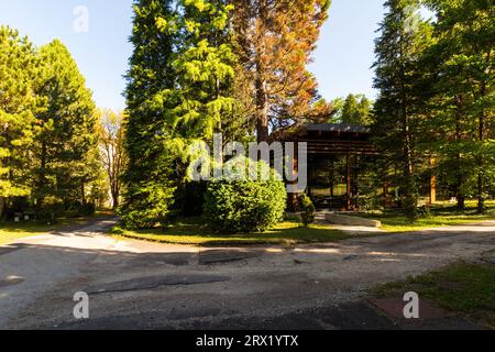 Ligneum edificio tra gli alberi nel Giardino Botanico di Soproni Egyetem (Università di Sopron), Sopron, Ungheria Foto Stock